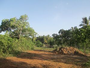 Land for sale in Ranna near beach