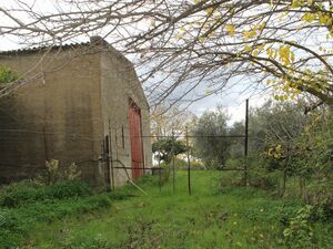 Warehouse and land in Sicily - Giannone Cda Albano