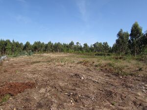 Land for construction in Vila Chã / Esposende (2810)