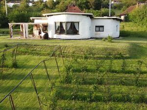 Large property with eco house and blueberry farm