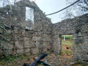 Stone ruin, 1ha land, orchard, woodland, stream, spring +!!