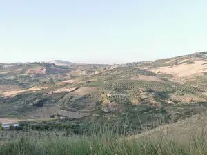 House and land in Sicily - Casa Tammuzzo Cda Petraro