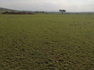37500 acres of land for sale in Kwale kenya 