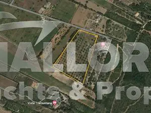 Land for sale in Ariany