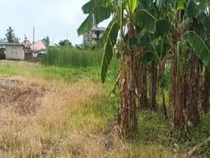 1.71 Acre of Land with old school structure for sale
