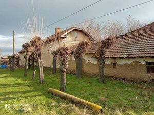 Bulgaria Property Finder (Bulgarian Ovcha mogila village Svi