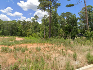 $89,900 / 60984ft2 - Nice Vacant Land for Sale. 1.4 Acres 