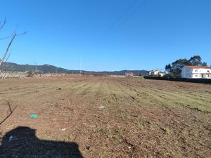 Building land with 6,830m2 in MArinhas/Esposende (2912)