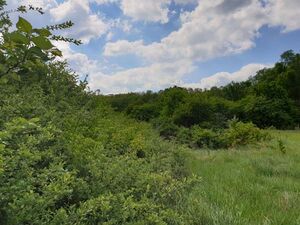 Huge plot of land only 200 m. from Topolovec River, at a ver