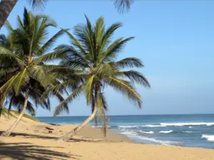 Beachfront Commercial Land (For Sell by Owner)