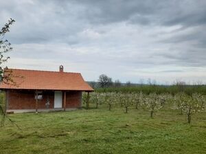 Cottage for sale in Sume-Topola