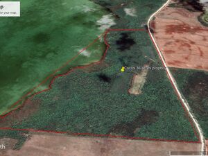  34 acres undeveloped, beautiful water front. 