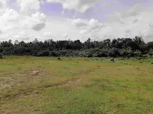 200 perches bare land for sale in Hikkaduwa for 900euro 