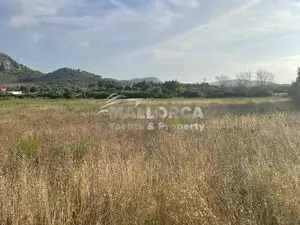 Building plot with project in Alcudia & licence in Situ