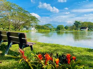 Farm Lots for sale in  HACIENDA ESCUDERO Tiaong Quezon