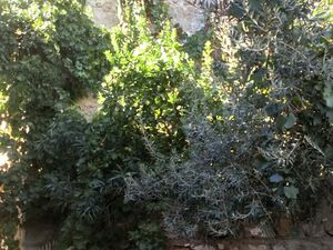 sh 764 town house, Caccamo, Sicily