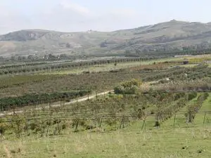 Land in Sicily - Colandrino Borgo Bonsignore