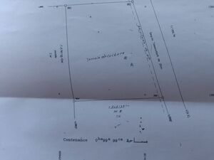 Land 1 Hectares Road Tahnaout