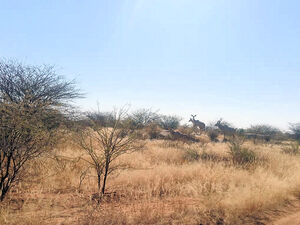 5.9ha Vacant Land for sale in Erongo Park, Omaruru, Namibia 