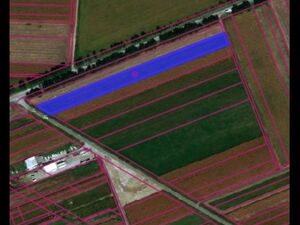 Land for sale in Nova Pazova