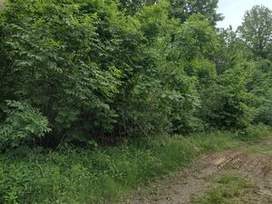 SOLD - Opportunity for self-sustainability