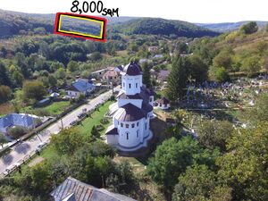Property for sale 8,000 SQM FIR FORESTED 