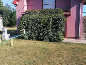 House for sale Velika Plana-Lozovik