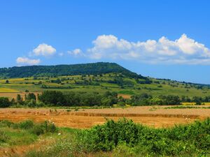 Huge plot of land with a ruined house, Varna district