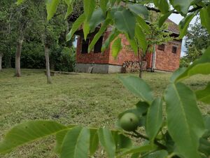 SOLD - Lovely orchard, ready to move in