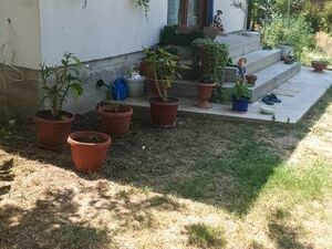 Fully renovated property with nice garden near Pleven