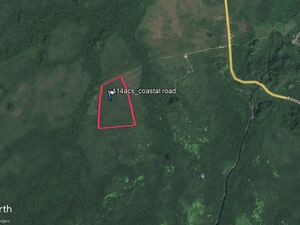 114 acres Belize Farm Land Coastal Plain Highway