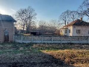 Land for sale in Lipe near Smederevo