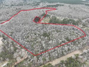 #2 • +/- 85 ACRES AYDELL LN FRENCH SETTLEMENT, LA