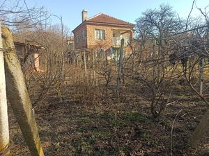 village of Zlatiya, municipality of Valchedram, Montana 
