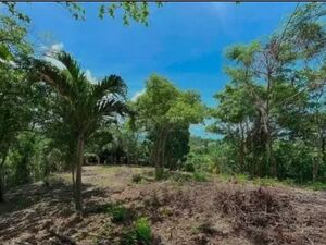 Prime Land For Sale, Loboc Bohol, Philipines