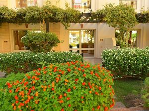  Studio 51m pool view in Arabia