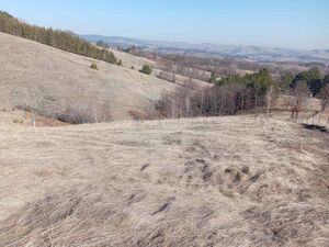 I am selling plots of land in Divcibare-Tometino Polje