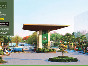 M2K Olive Green 9910323521 Sector 104 Gurugram