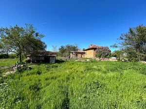 Cheap house 20 min to the sea and Durankulak