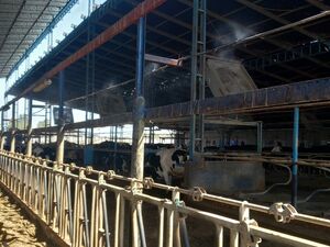 Organic Dairy & Agriculture 