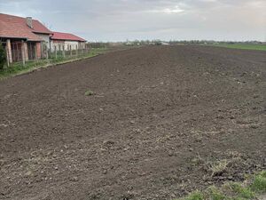 Building land for sale - Vrbas