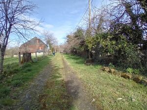 Farm with Farm House Orchards and Outbuildings Land