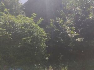 Rural 2-Storey brick house, 4600m2 land, Shumen region