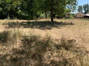 Land for sale in Jagnjilo-Mladenovac
