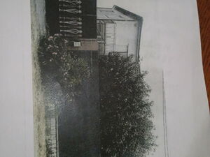 Beverly Hills in Italy