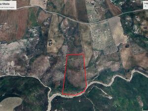 Land in Sicily - Land Bibi