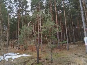 Land for sale in Zlatibor-Vodice