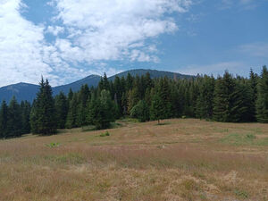 Large plot of land for sale