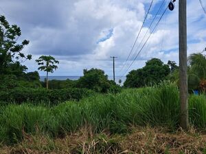 19456 sq ft plot Calibishie, Saint Andrew, Dominica