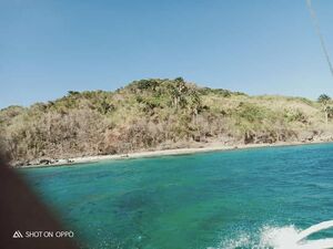 Island lot for sale in palawan Philippines 
